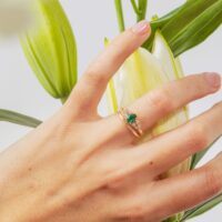 LAUJOA - Alliance Carmes 1.5