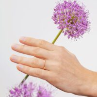 Alliance de mariage LAUJOA - Alliance Carmes 2