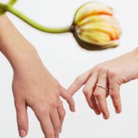 LAUJOA - Alliance Carmes 2