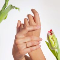 LAUJOA - Alliance Cléo