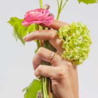 LAUJOA - Alliance Complicité