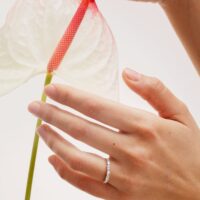 LAUJOA - Alliance Etincellante