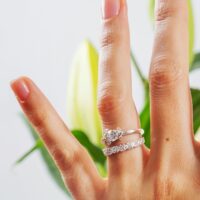 LAUJOA - Alliance Flamboyante