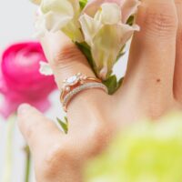 LAUJOA - Alliance Lumineuse