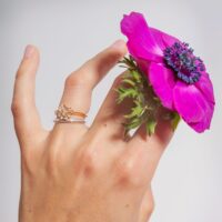 LAUJOA - Alliance Pétillante