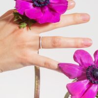 LAUJOA - Alliance Pétillante