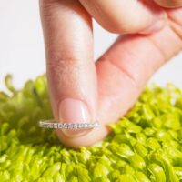 LAUJOA - Alliance Pureté