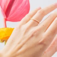 LAUJOA - Alliance Scintillante