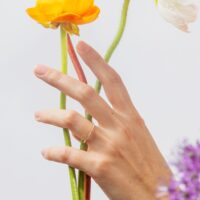 LAUJOA - Alliance Scintillante