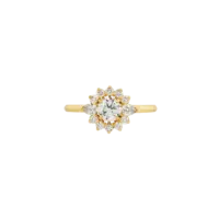 Bague Colombe Classique Diamant Or jaune vue 1