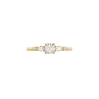 Bague Pégase Classique Or jaune vue 1