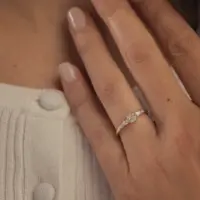 Bague Pégase Classique - vue 1 portée