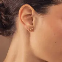 Boucles d'Oreilles Allure PM - vue 1 portée